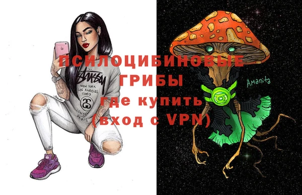 прущий лед Липки