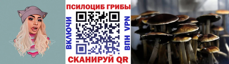KRAKEN tor  магазин продажи   Урус-Мартан  Псилоцибиновые грибы прущие грибы 