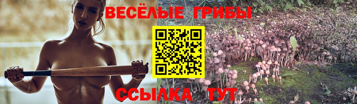 Псилоцибиновые грибы мицелий  Вход с VPN  Урус-Мартан 