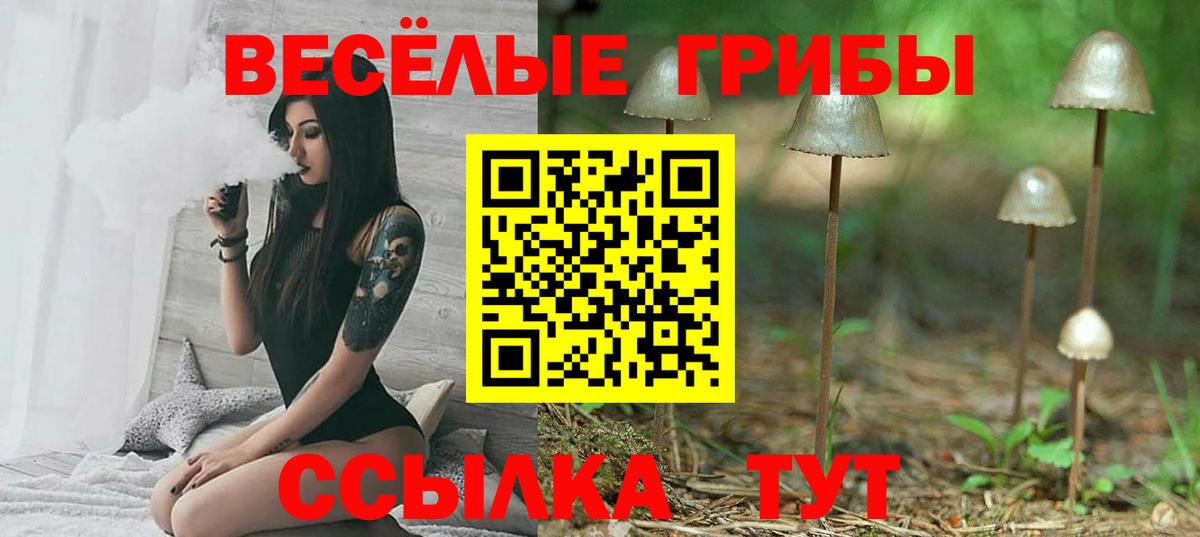 Галлюциногенные грибы Cubensis Урус-Мартан