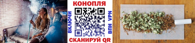 Бошки Шишки MAZAR Урус-Мартан